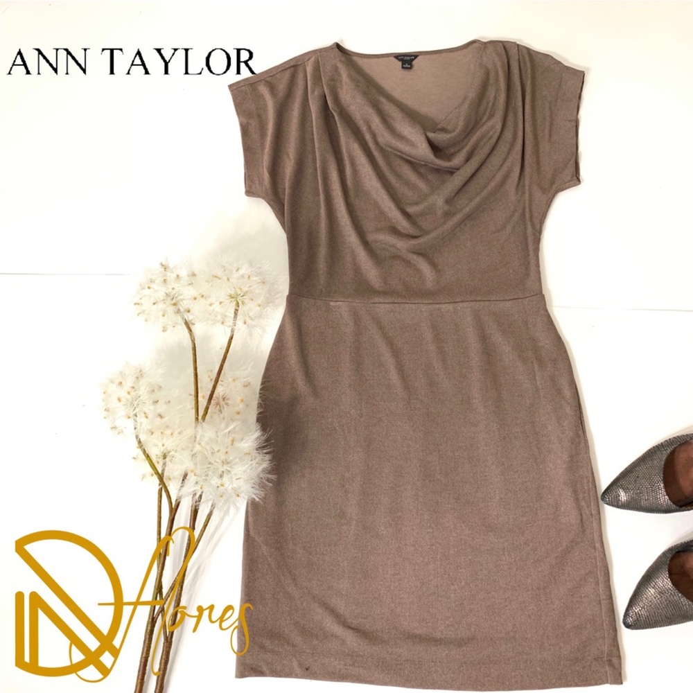 ANN TAYLOR Dress Size S